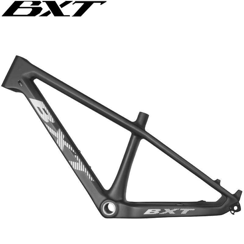 BXT 24er T1000 Carbon Fiber Mo - đánh giá và giá Mountain Biking Experience