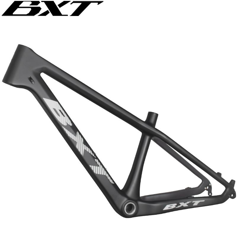 BXT 24er T1000 Carbon Fiber Mo - đánh giá và giá Mountain Biking Experience